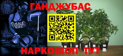 герыч Кингисепп