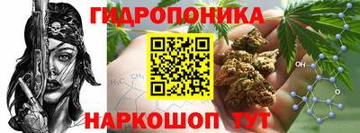 герыч Кингисепп